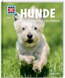 Hunde