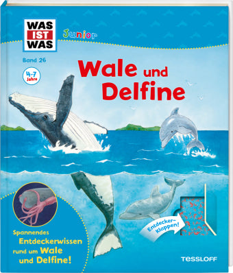 Wale und Delfine