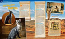 Katzen