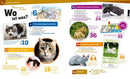 Katzen
