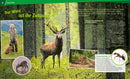 Wald