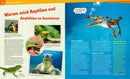 Reptilien und Amphibien