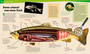 Fische