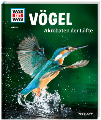 Vögel