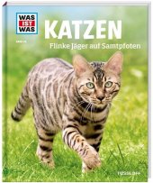 Katzen